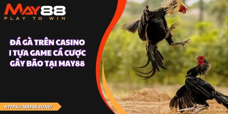 Đá gà trên casino | Tựa game cá cược gây bão tại MAY88 9 Đá gà trên casino | Tựa game cá cược gây bão tại MAY88